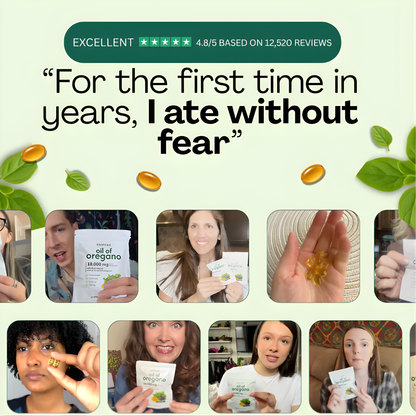 MBS OREGANO OIL Wild Greek Mountain Formula