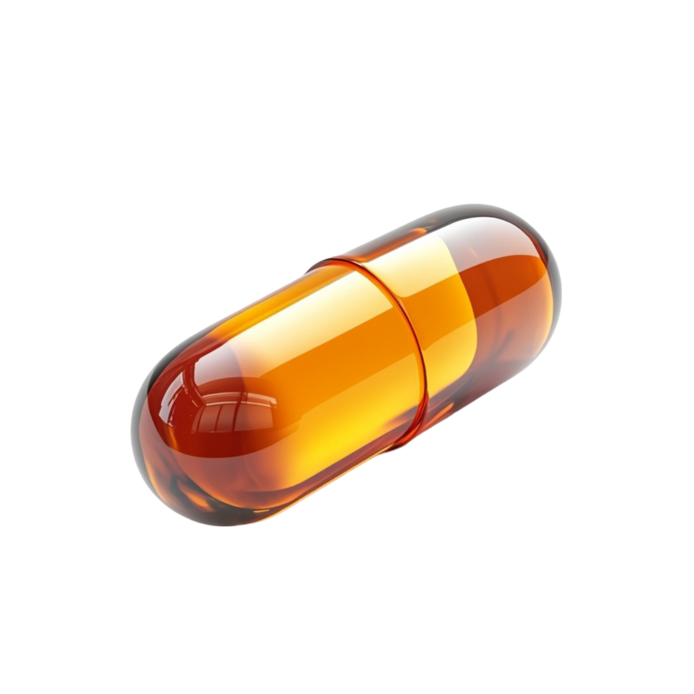 Week 1-2: Foundation Building